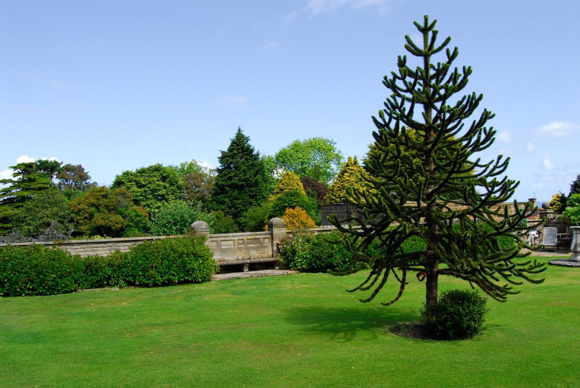 Dunsley Hall